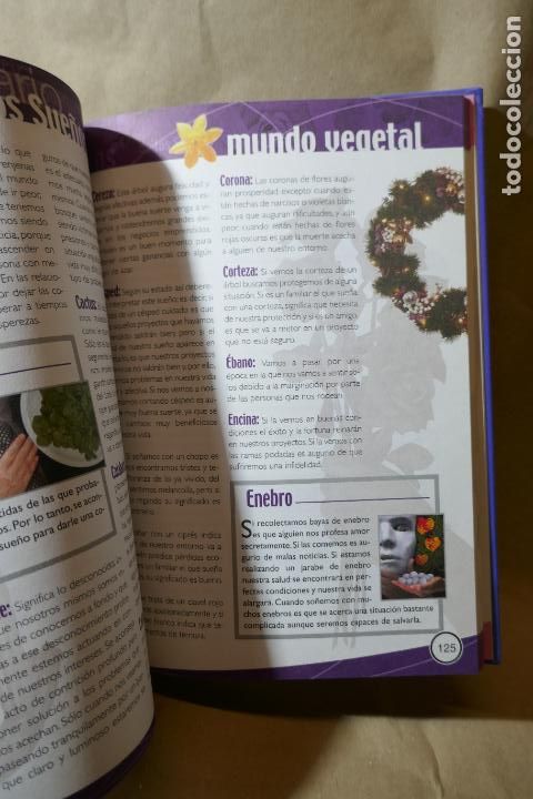 Libros de segunda mano: El gran libro Diccionario de los Sue&ntilde;os. Edici&oacute;n Servilibro - Foto 8