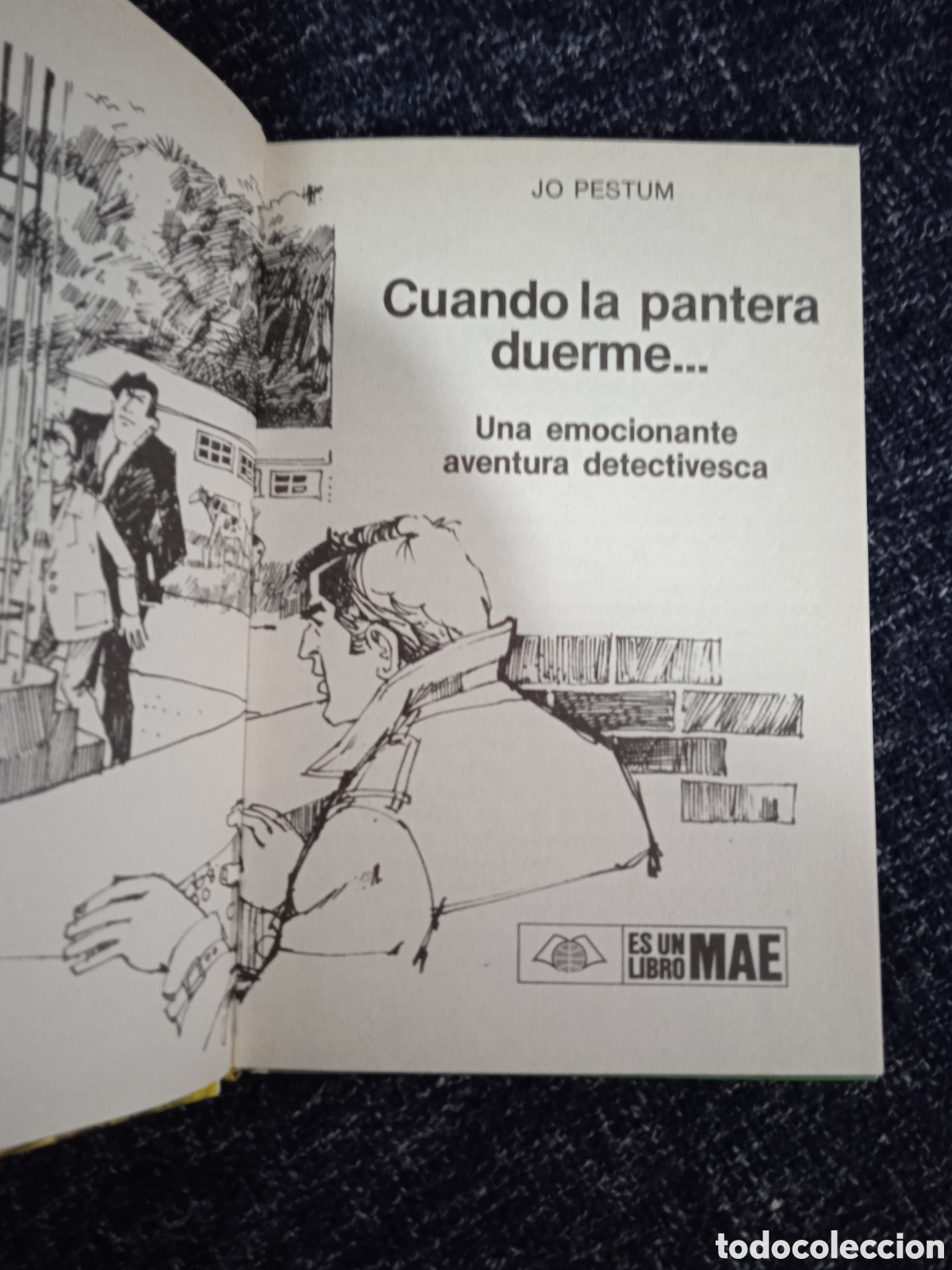 Libros de segunda mano: CUANDO LA PANTERA DUERME. / JO PESTUM -ED. MAE - Foto 2