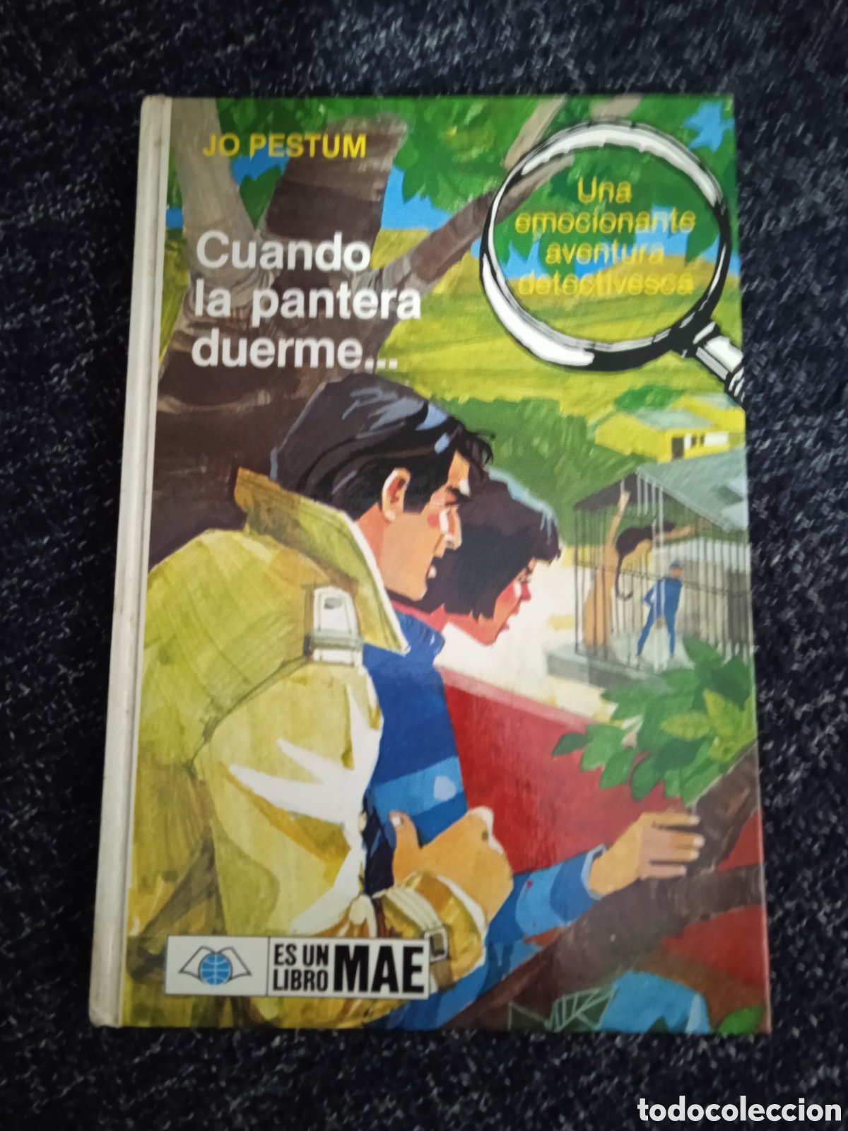 Libros de segunda mano: CUANDO LA PANTERA DUERME. / JO PESTUM -ED. MAE - Foto 1