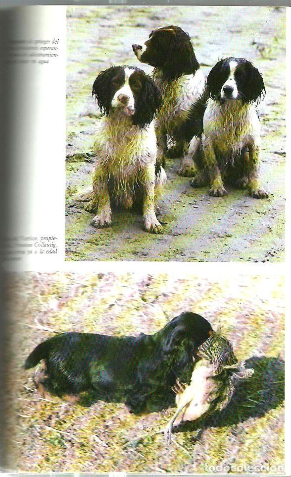 Libros de segunda mano: Los cocker y los otros spaniel de Michel Dumand. Edit. Vecchi - Foto 5