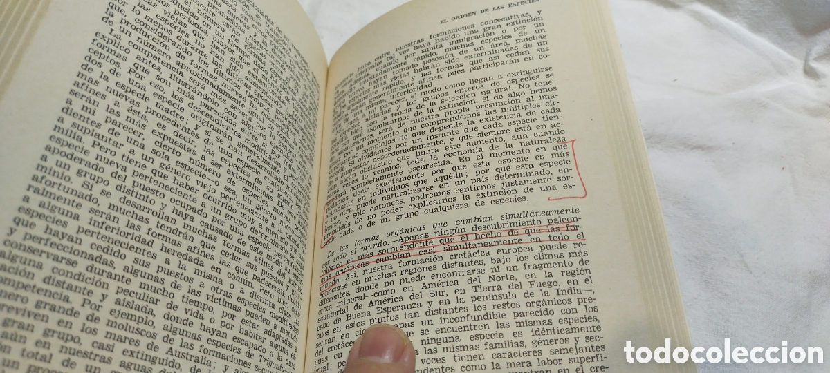 Libros de segunda mano: El origen de las especies. Darwin. Pr&oacute;logo de Faustino cord&oacute;n. - Foto 3