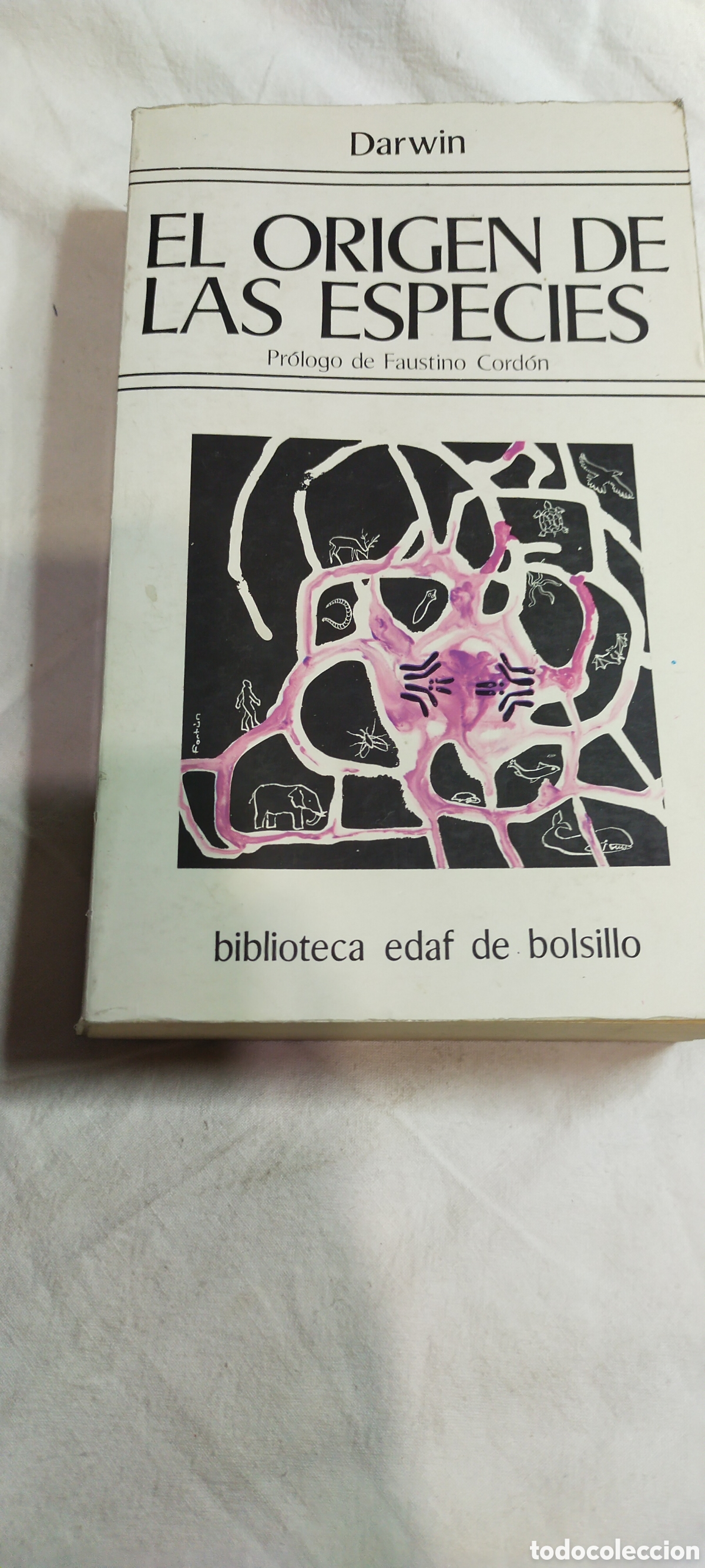Libros de segunda mano: El origen de las especies. Darwin. Pr&oacute;logo de Faustino cord&oacute;n. - Foto 1