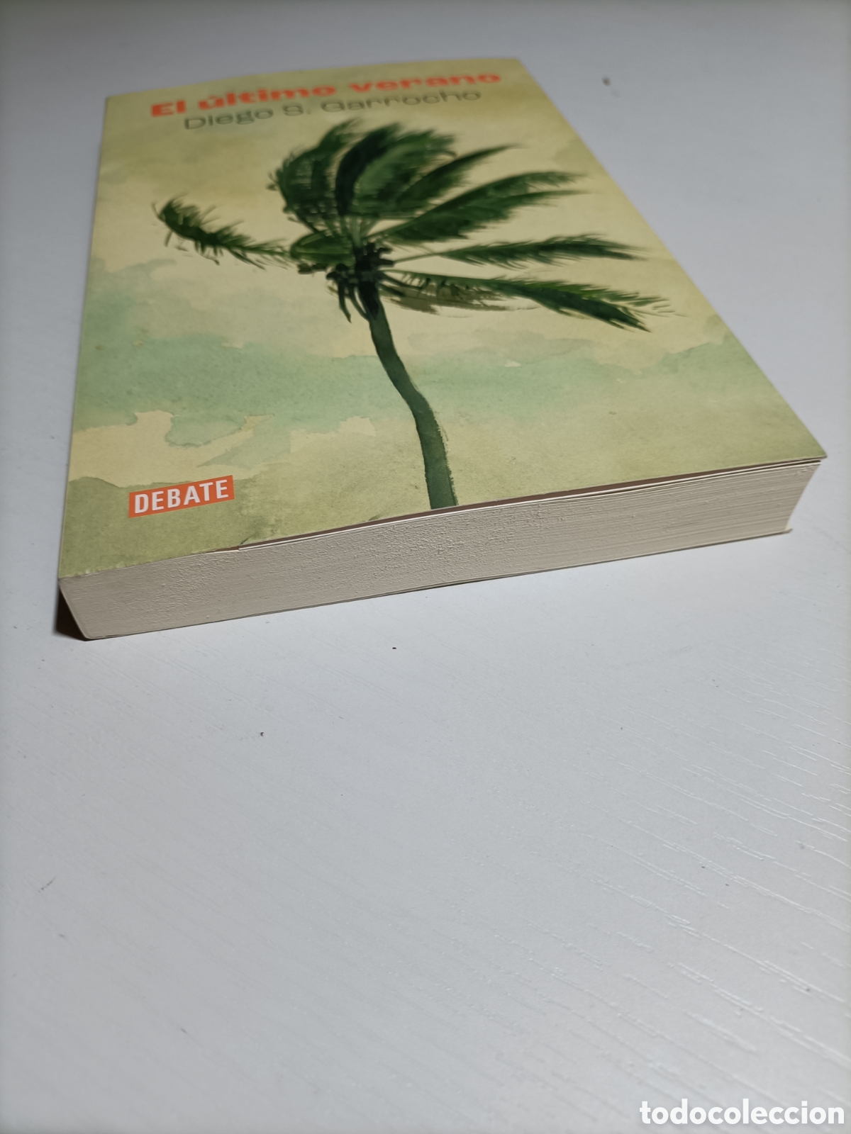 Libros de segunda mano: El &uacute;ltimo verano Diego S. Garrocho - Foto 2