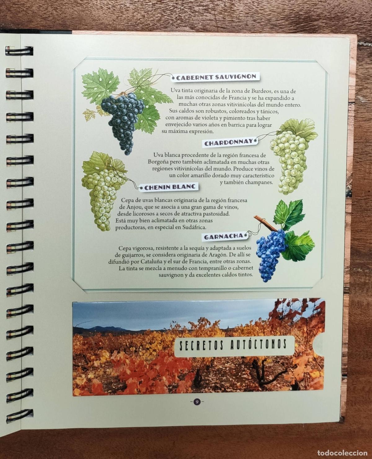 Libros de segunda mano: CUADERNO DEL VINO Y LA BODEGA. VV.AA. Larousse. 2014. - Foto 2