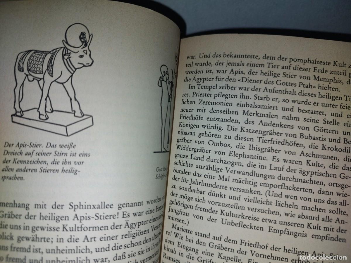 Libros de segunda mano: 128- ALEM&Aacute;N. DAS BUCH DER PYRAMIDEN - C. W. CERAM - 1980 - Foto 10