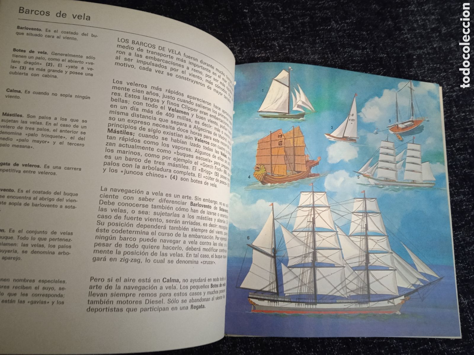 Libros de segunda mano: ENCICLOPEDIA INFANTIL - EXPL&Iacute;CAME EL MAR - Foto 2