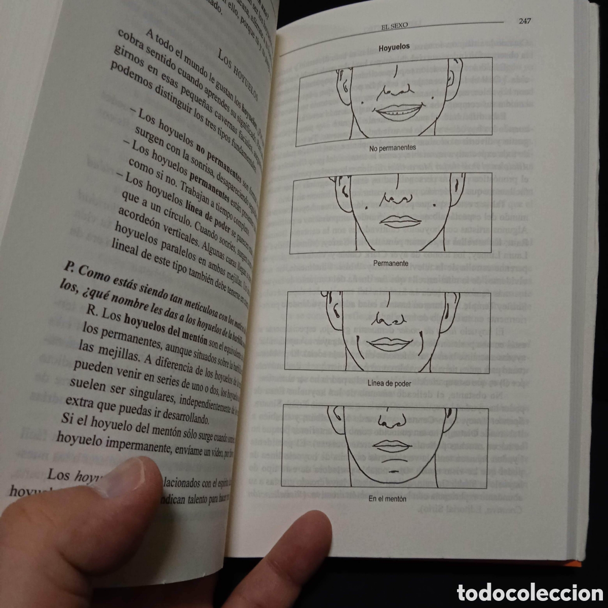 Libros de segunda mano: LEER EL ROSTRO - ROSE ROSETREE - SIRIO 206 #8318 - Foto 8