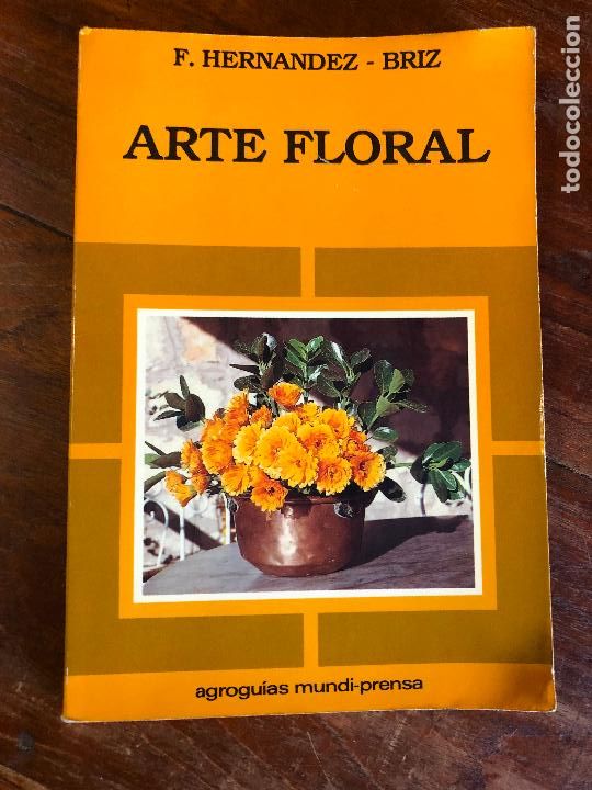 Libros de segunda mano: F. HERN&Aacute;NDEZ - BRIZ VILANOVA. ARTE FLORAL. 1988 - Foto 1