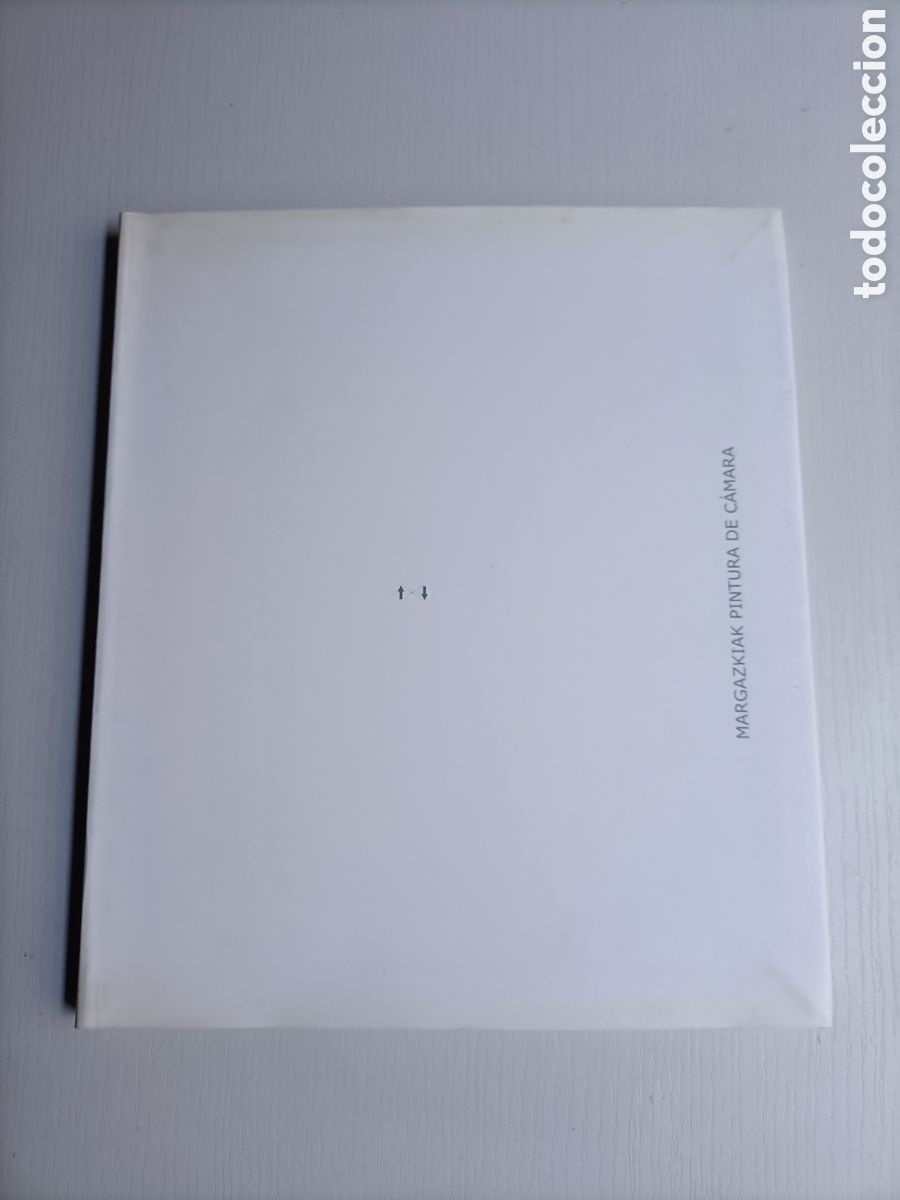 Libros de segunda mano: Margazkiak pintura de c&aacute;mara Kulturunea 2002 Donostia San ,, sebasti&aacute;n arte siglo XX