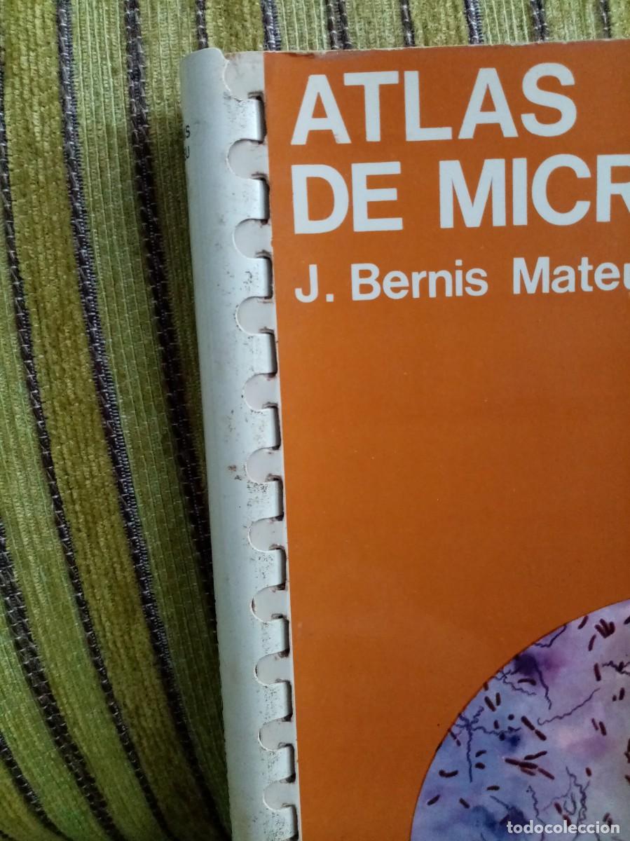 Libros de segunda mano: ATLAS DE MICROSCOPIA - Foto 2