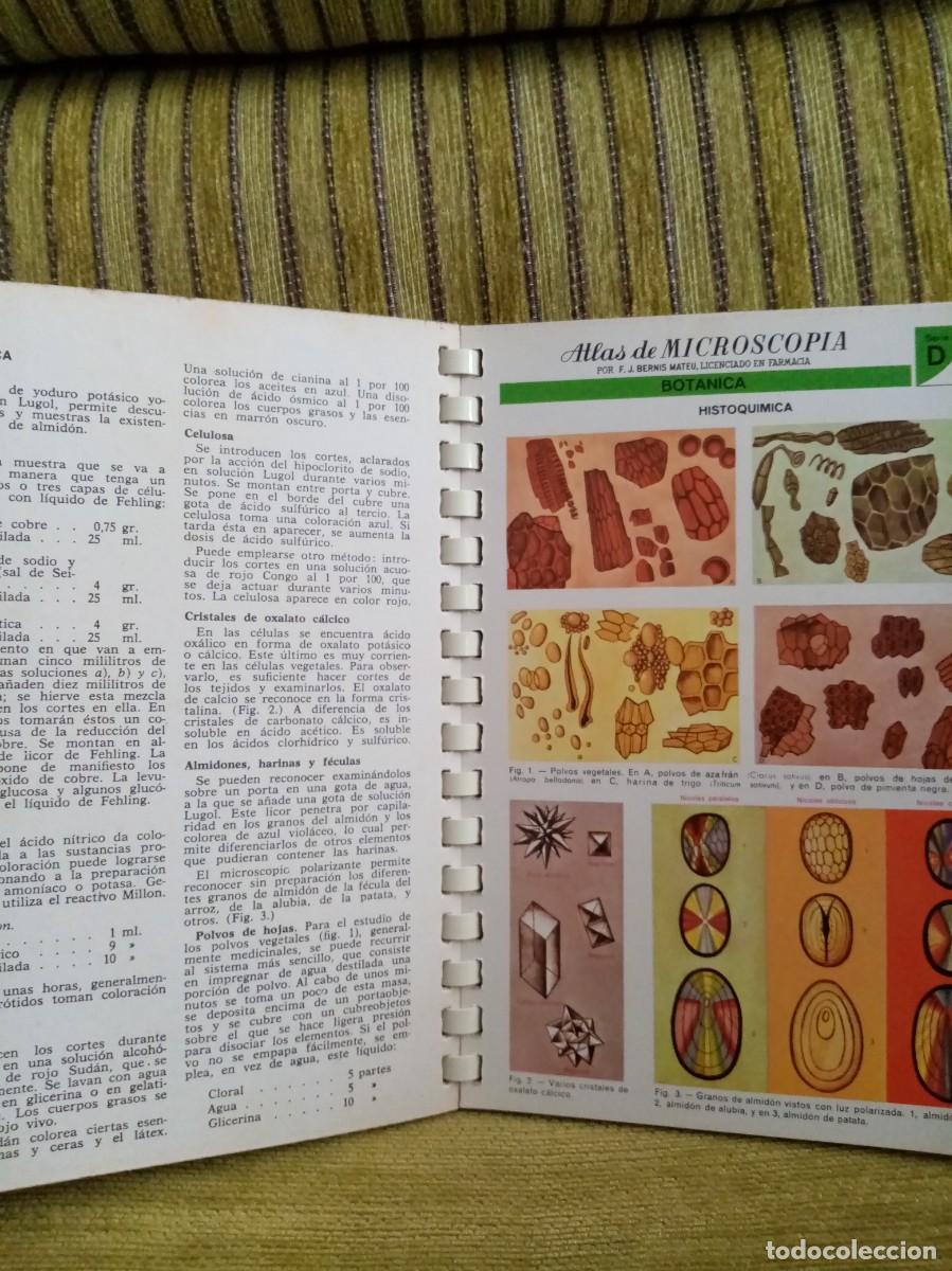 Libros de segunda mano: ATLAS DE MICROSCOPIA - Foto 10