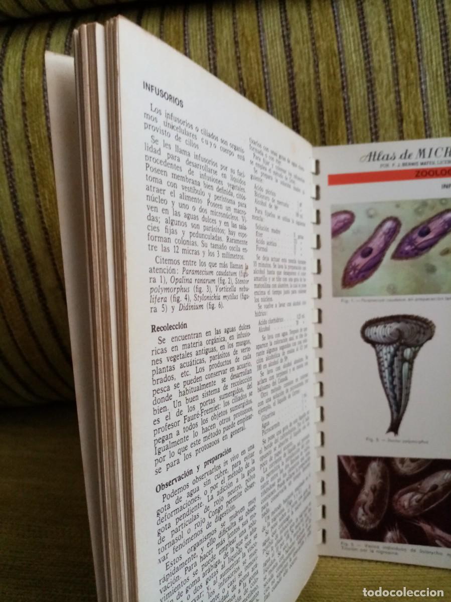 Libros de segunda mano: ATLAS DE MICROSCOPIA - Foto 12