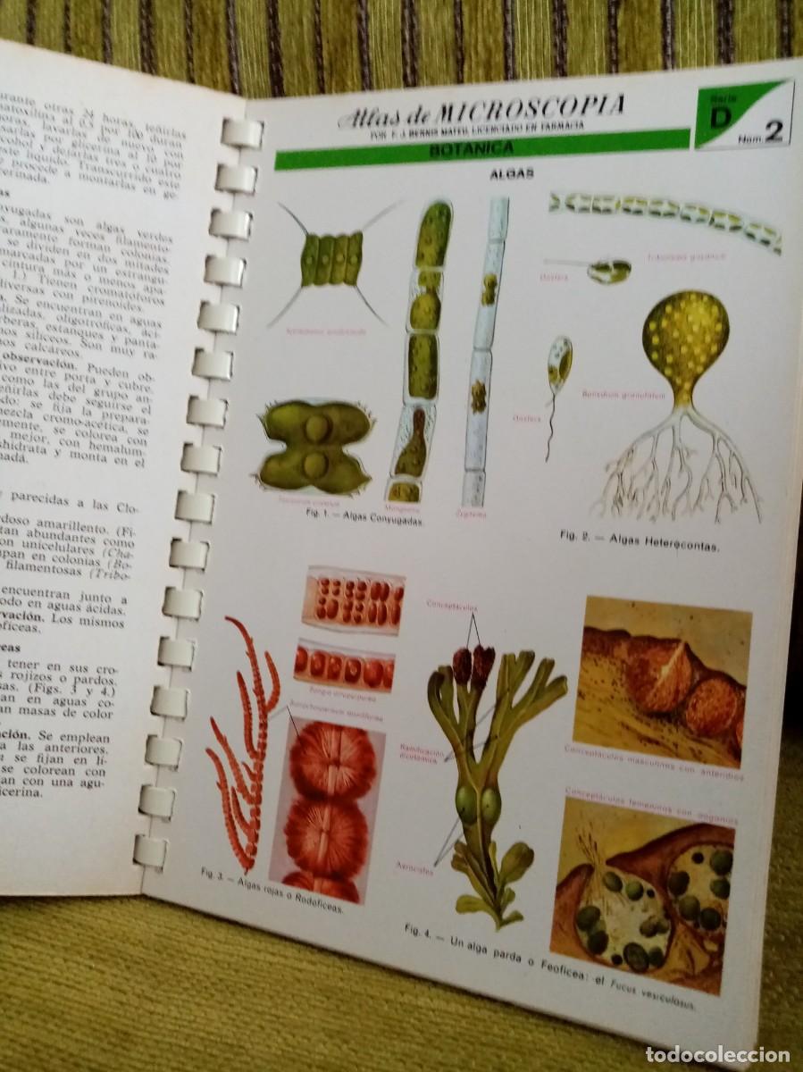 Libros de segunda mano: ATLAS DE MICROSCOPIA - Foto 14