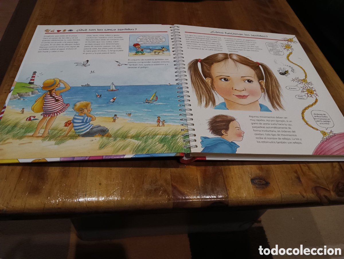 Libros de segunda mano: Descubramos los sentidos. - Foto 2