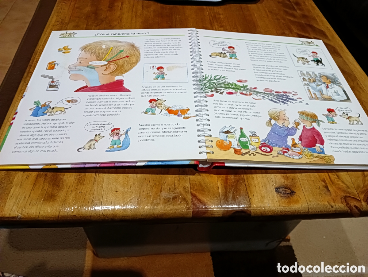 Libros de segunda mano: Descubramos los sentidos. - Foto 3