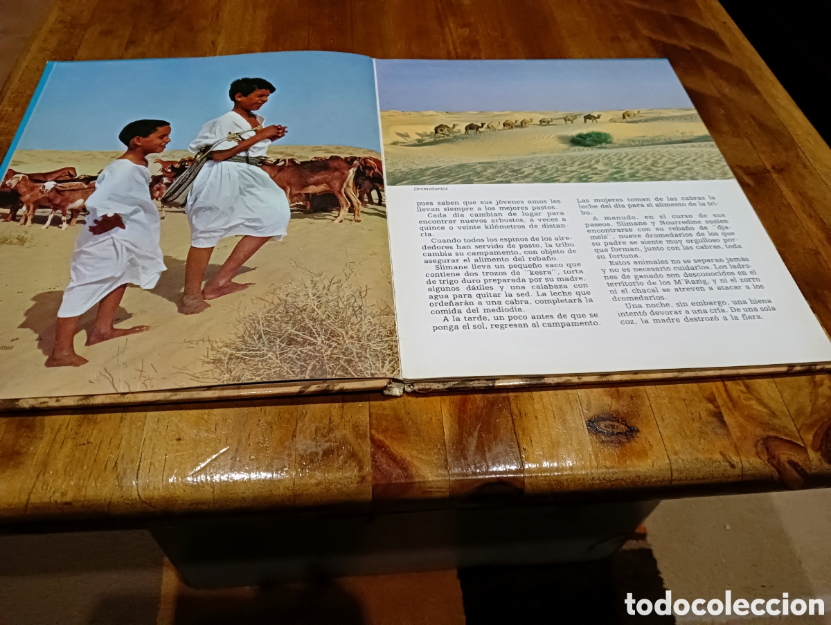 Libros de segunda mano: Slimane y los animales del desierto. - Foto 3