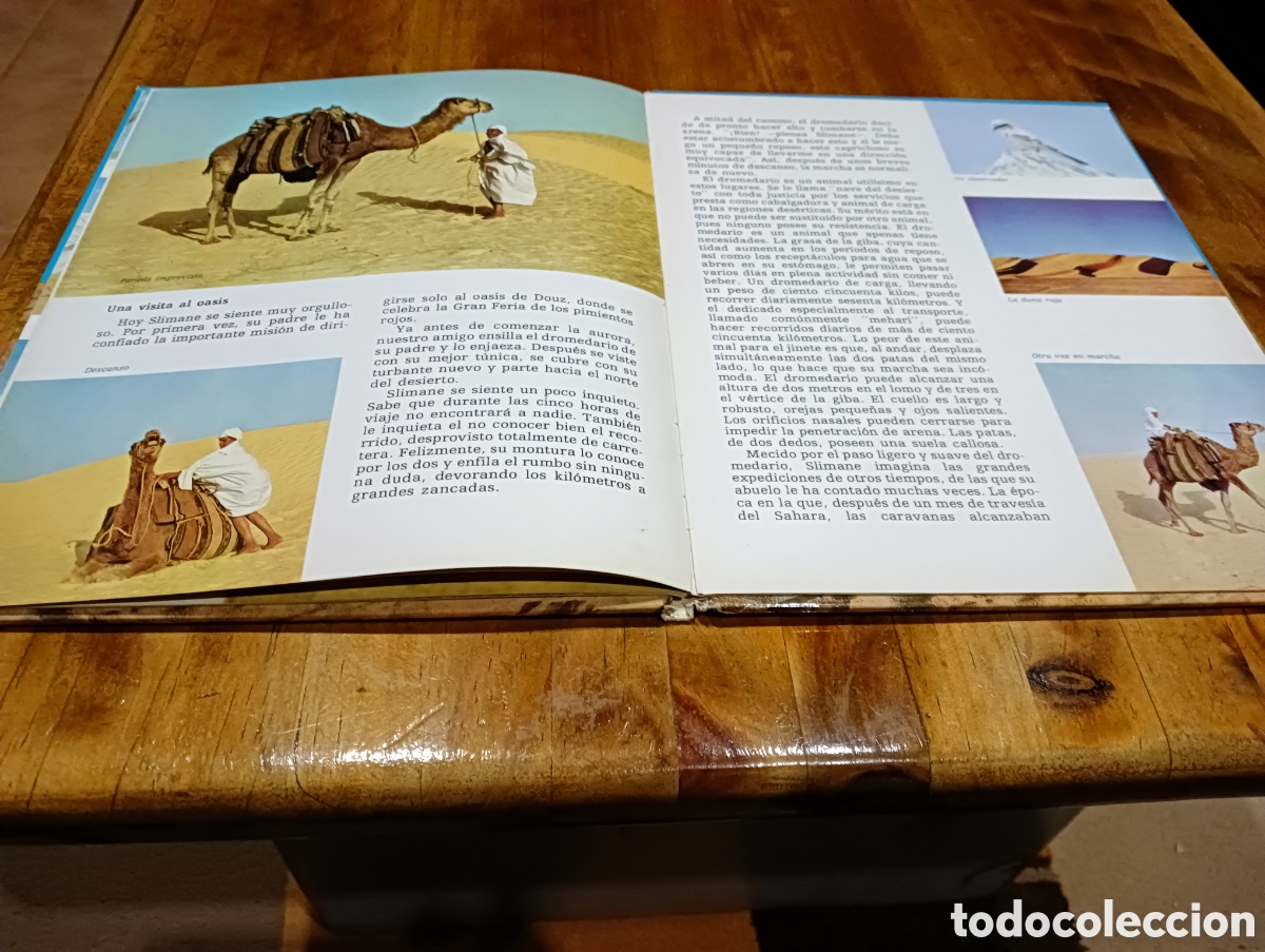 Libros de segunda mano: Slimane y los animales del desierto. - Foto 4