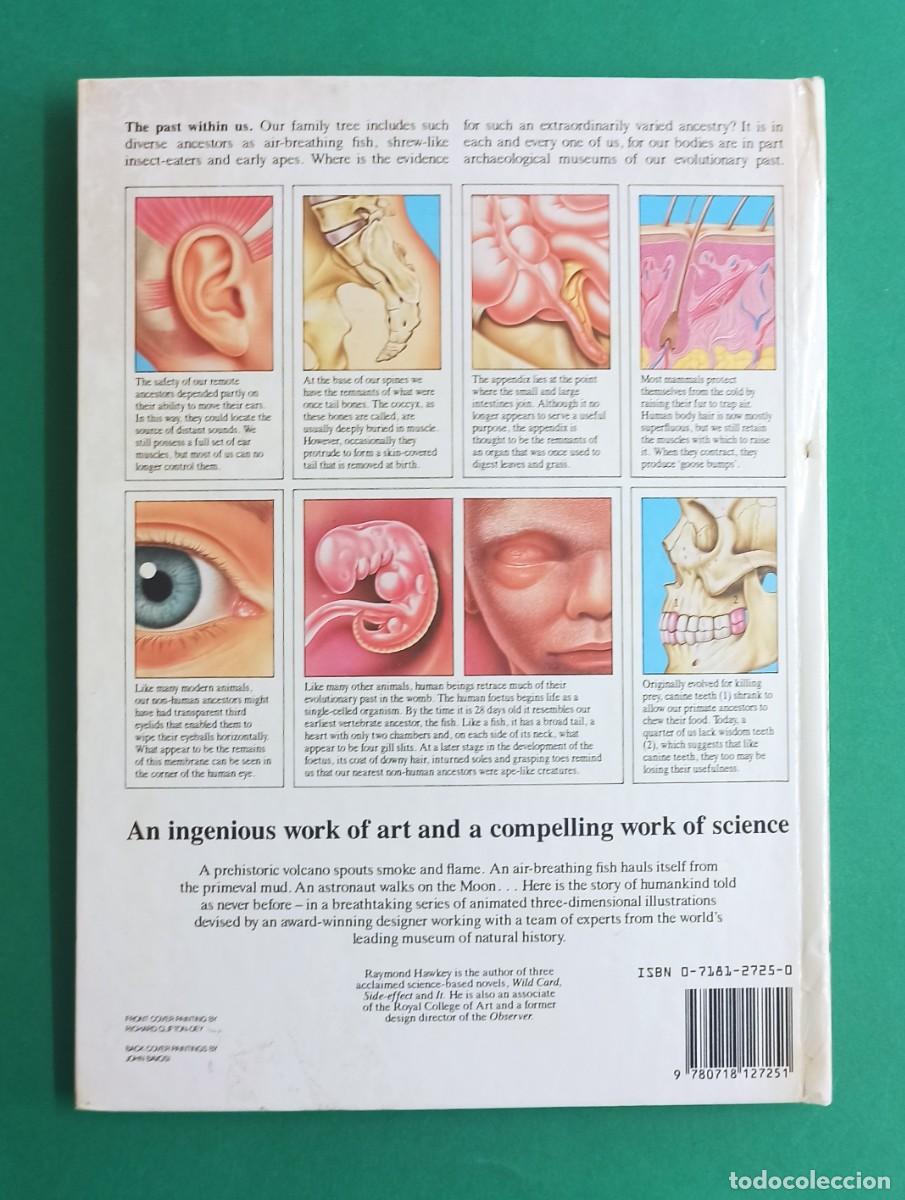 Libros de segunda mano: Antiguo libro Evolution. 1986. Libro Pop Up. En ingles. - Foto 2