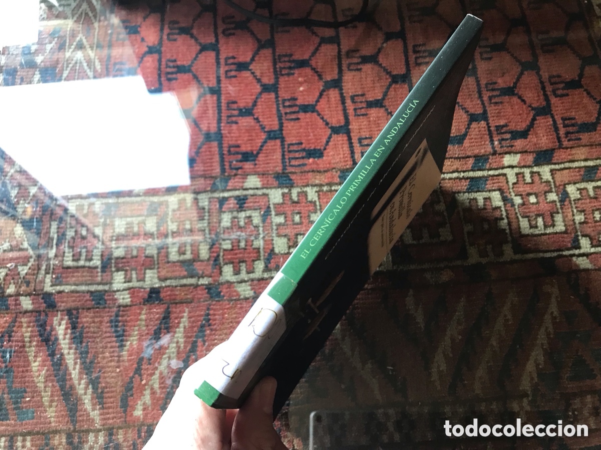 Libros de segunda mano: El cern&iacute;calo Primilla en Andaluc&iacute;a. Bases para su conservaci&oacute;n. - Foto 2