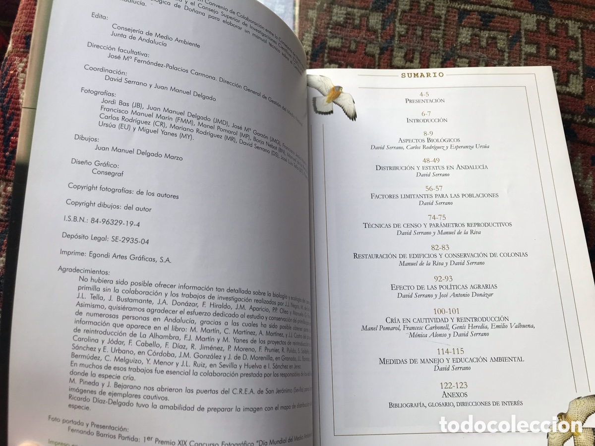Libros de segunda mano: El cern&iacute;calo Primilla en Andaluc&iacute;a. Bases para su conservaci&oacute;n. - Foto 3
