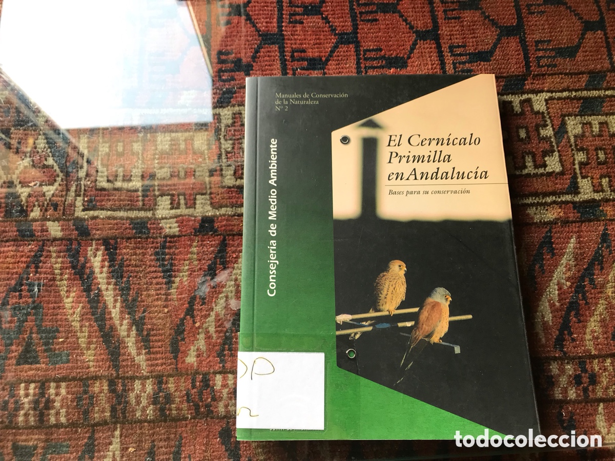 Libros de segunda mano: El cern&iacute;calo Primilla en Andaluc&iacute;a. Bases para su conservaci&oacute;n. - Foto 1