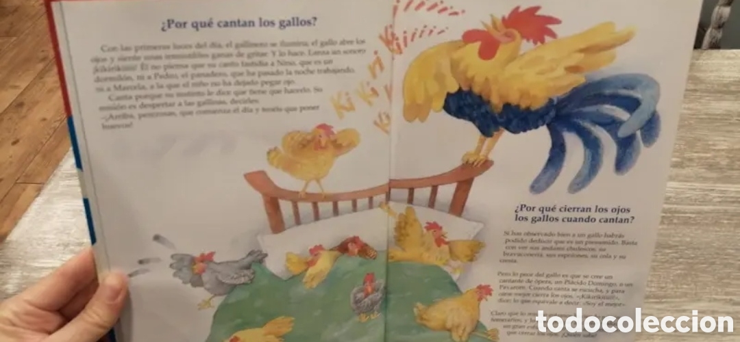 Libros de segunda mano: El porqu&eacute; de las cosas Susaeta - Foto 4