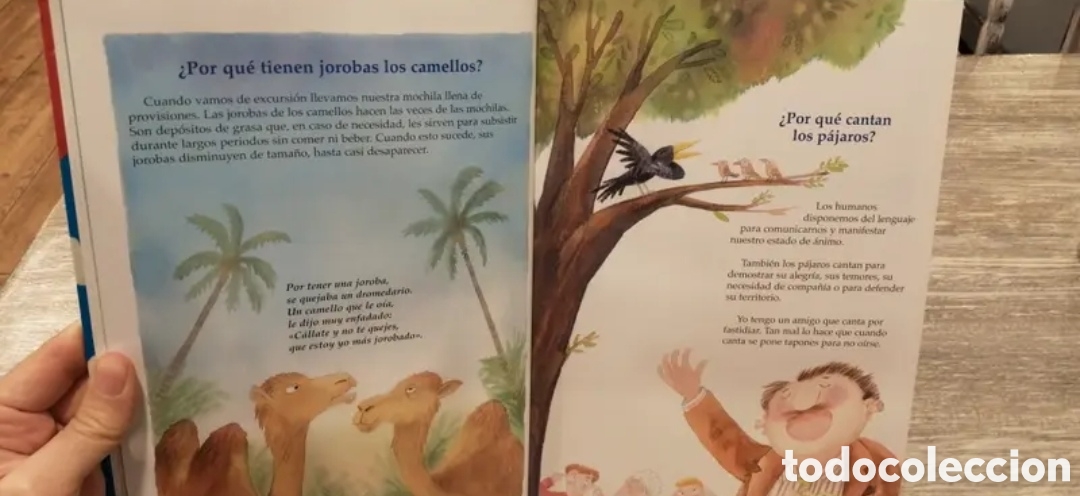 Libros de segunda mano: El porqu&eacute; de las cosas Susaeta - Foto 9