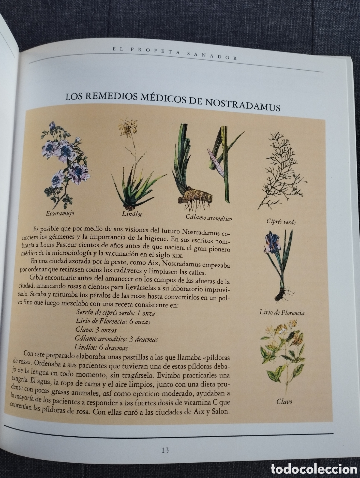 Libros de segunda mano: NOSTRADAMUS Y EL MILENIO (JOHN HOGUE) - Foto 13