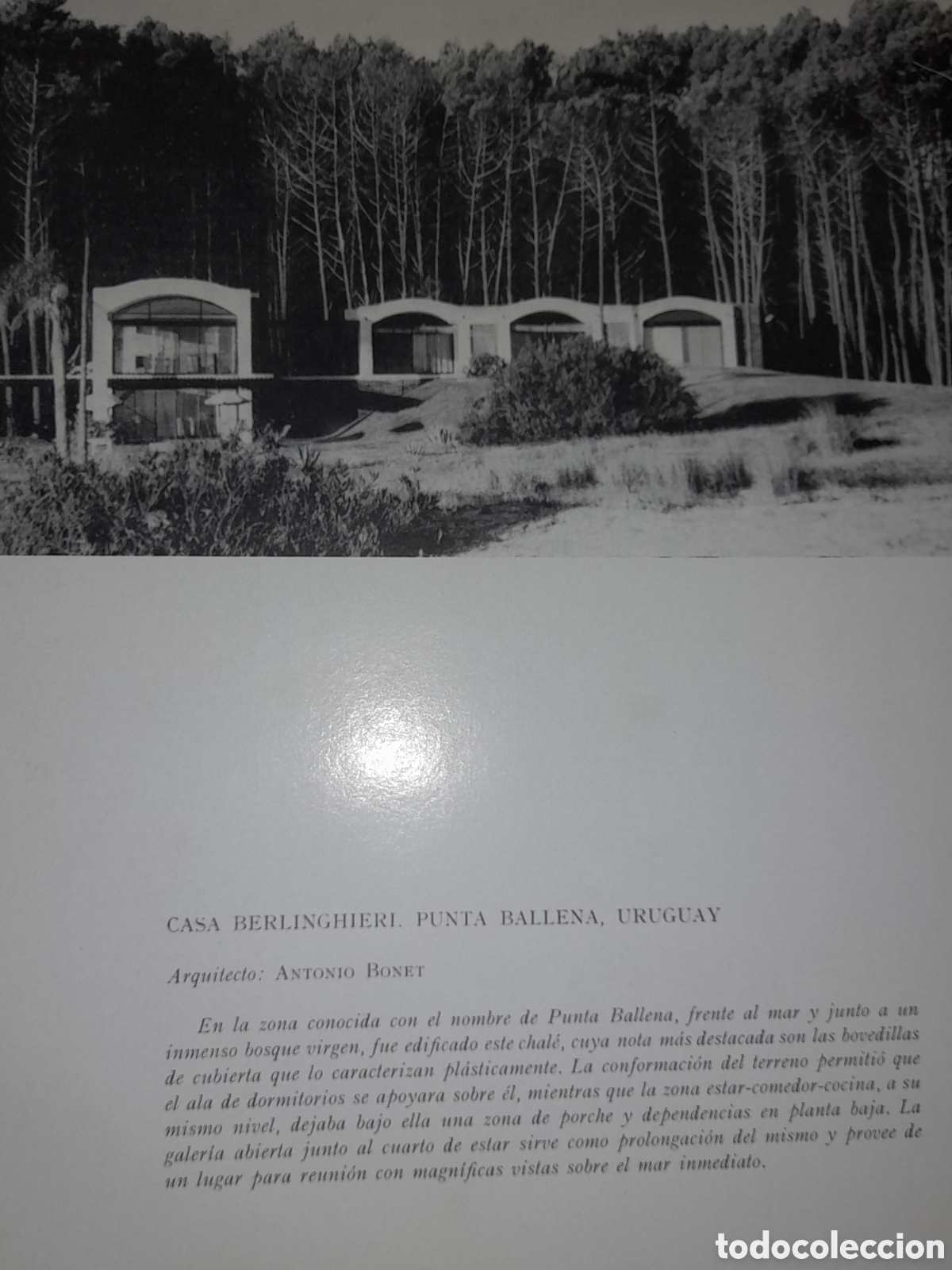 Libros de segunda mano: CHALETS Y CASAS DE CAMPO EDITORIAL AGUILAR 1968 SIN TAPAS - Foto 11
