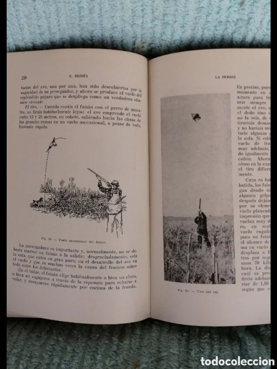 Libros de segunda mano: La perdiz y otras cazas de pluma. Sintes 1961 - Foto 5
