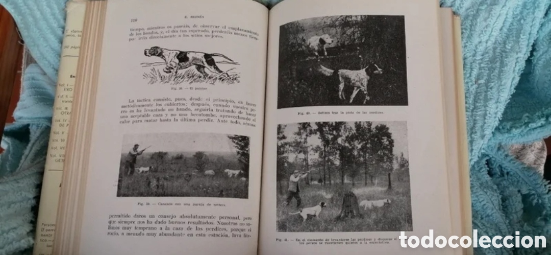 Libros de segunda mano: La perdiz y otras cazas de pluma. Sintes 1961 - Foto 7