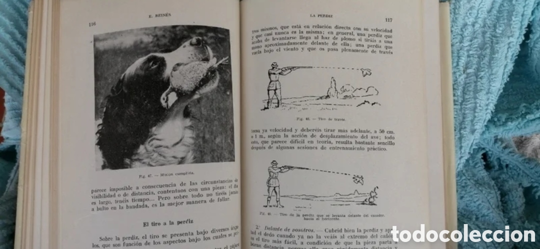 Libros de segunda mano: La perdiz y otras cazas de pluma. Sintes 1961 - Foto 8
