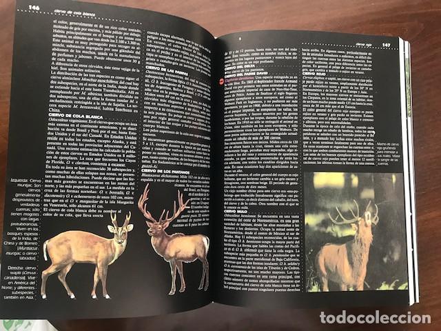 Libros de segunda mano: ENCICLOPEDIA DE LOS ANIMALES (NAUTA) JUVENIL - Foto 2