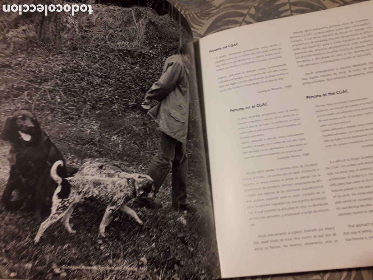 Libros de segunda mano: GIUSEPPE PENONE, 1968-1998, XUNTA DE GALICIA, - Foto 7