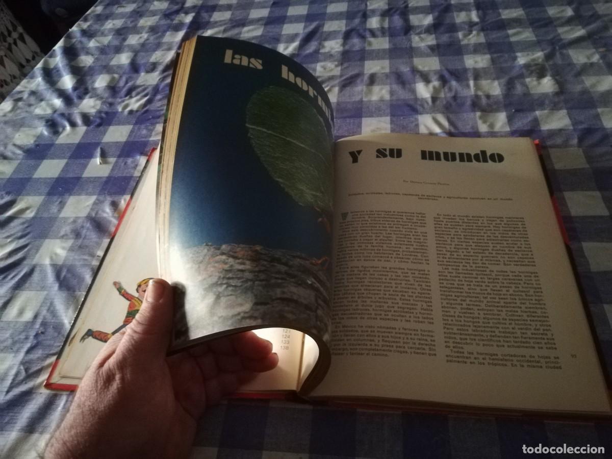 Libros de segunda mano: HORIZONTE JUVENIL / READER`S DIGEST / CJA200 - Foto 13