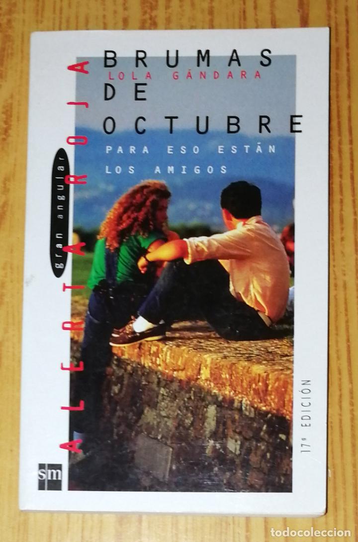 Libros de segunda mano: BRUMAS DE OCTUBRE (Gran Angular ; 11. Alerta Roja) / Lola G&aacute;ndara. - Ediciones SM, 2005 - Foto 1