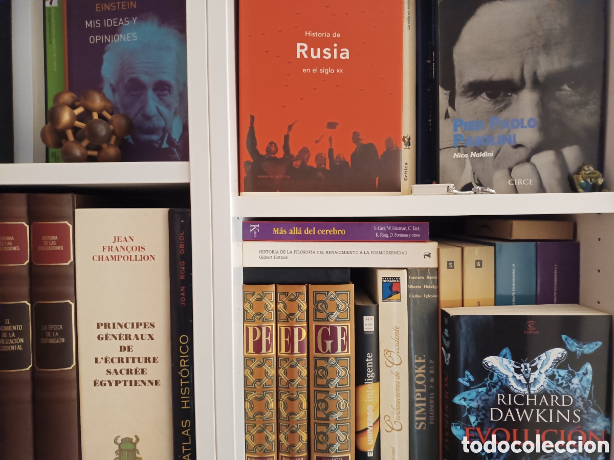 Libros de segunda mano: M&aacute;s all&aacute; del cerebro La expansi&oacute;n de la conciencia David Lorimer - Foto 7