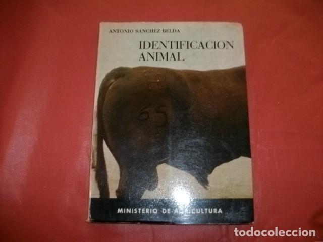 Libros de segunda mano: Identificaci&oacute;n Animal - Antonio S&aacute;nchez Belda - Foto 1