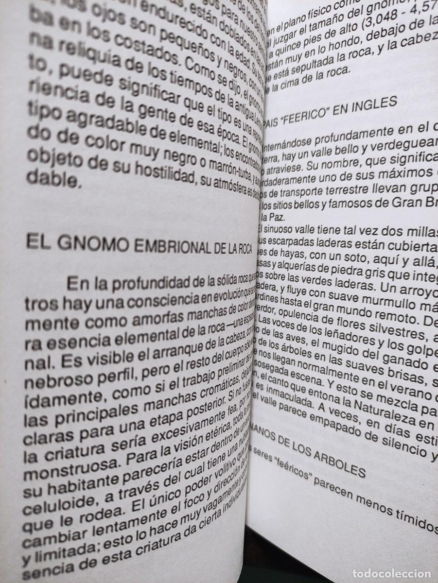 Libros de segunda mano: EL REINO DE LOS DIOSES - GEOFFREY HODSON - Foto 6