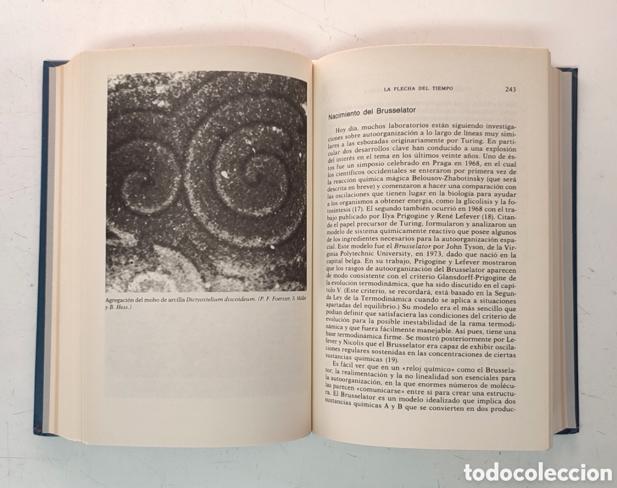 Libros de segunda mano: La flecha del tiempo. Peter Coveney y Roger Highfield - Foto 5