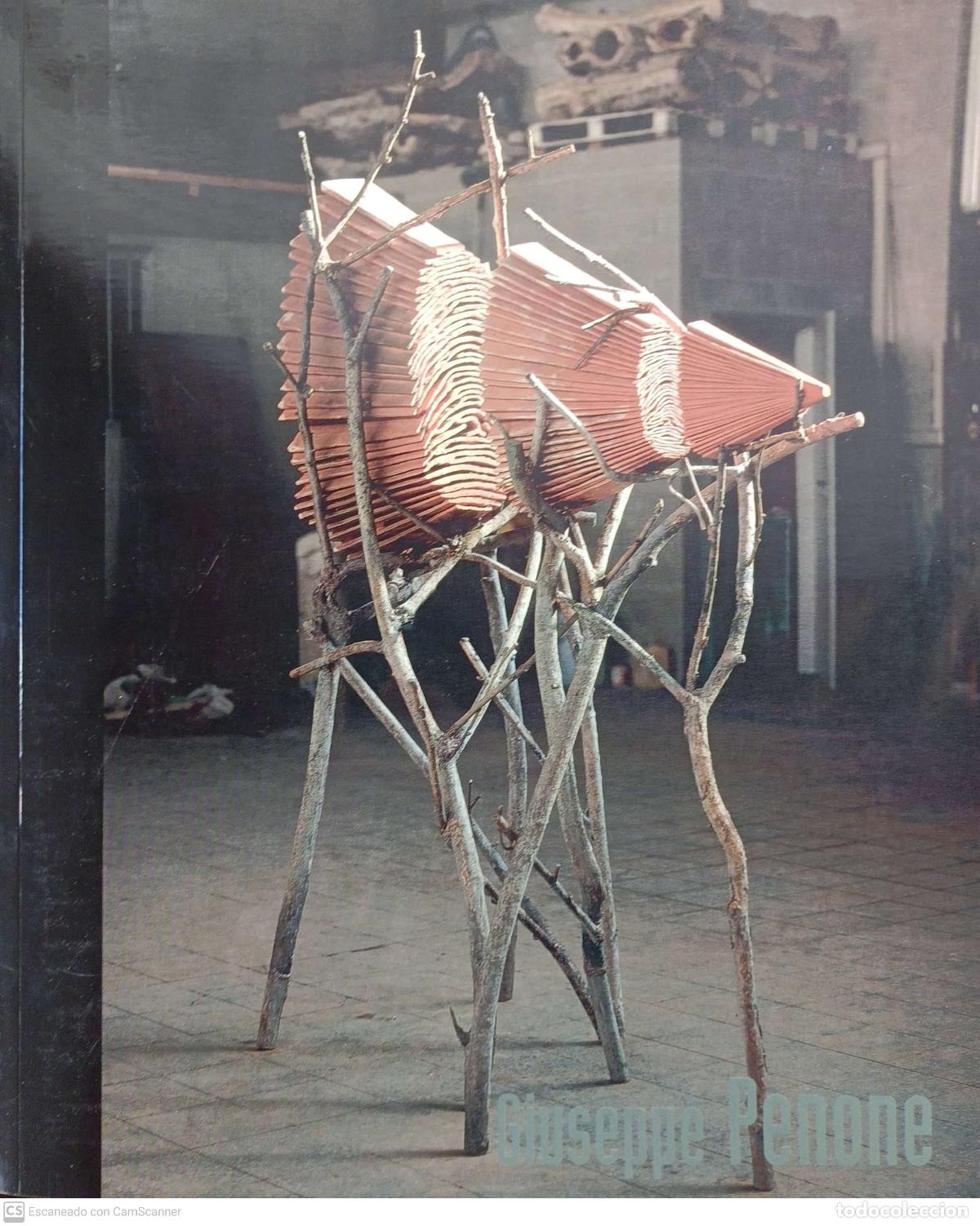 Libros de segunda mano: Giuseppe Penone - Foto 1