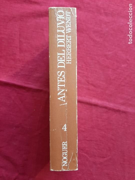 Libros de segunda mano: Antes del Diluvio - Wendt, Herbert - Foto 2