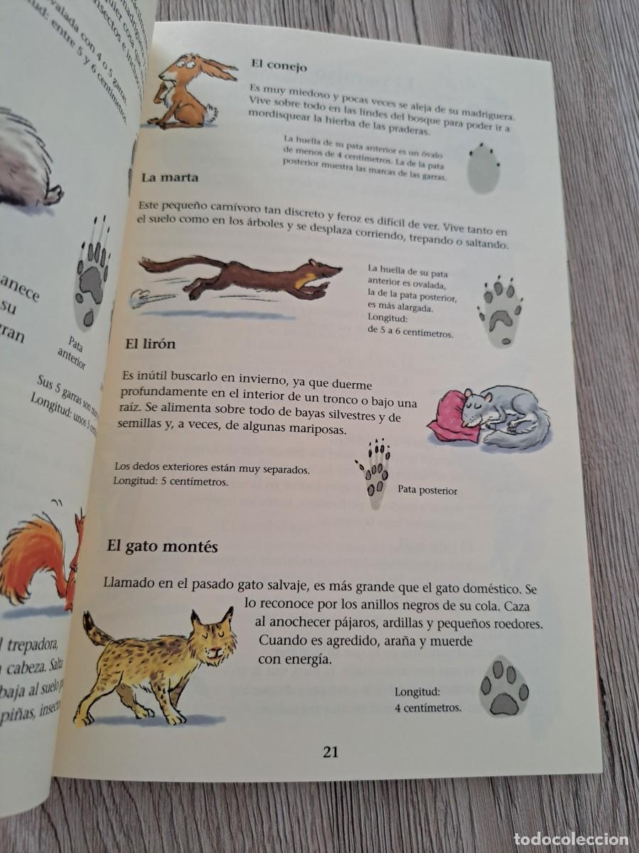 Libros de segunda mano: FRANCOIS MICHEL - EL BOSQUE A TU ALCANCE - EDICIONES ONIRO 2006 - Foto 3