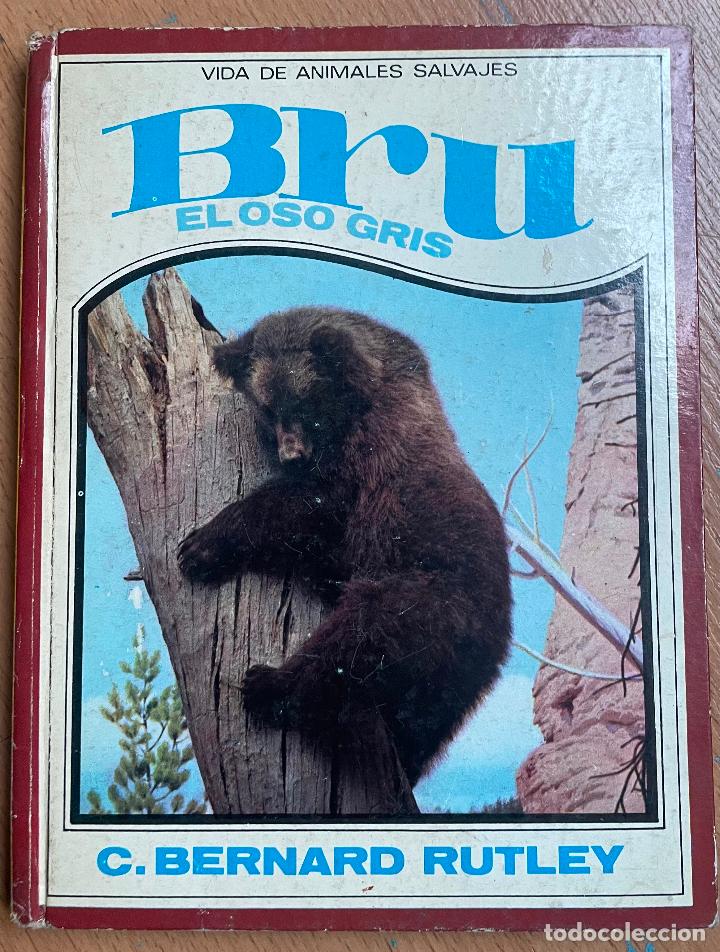 Libros de segunda mano: BRU EL OSO GRIS, Bernard Rutley - Foto 1
