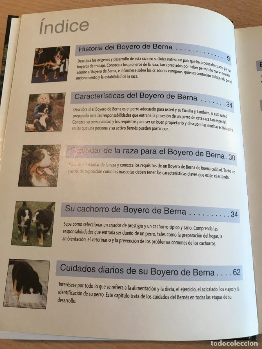 Libros de segunda mano: LIBRO. Boyero de Berna. Louis Harper. 2007. Razas de hoy. Perros. - Foto 3