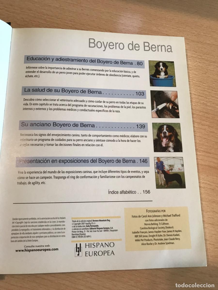 Libros de segunda mano: LIBRO. Boyero de Berna. Louis Harper. 2007. Razas de hoy. Perros. - Foto 4