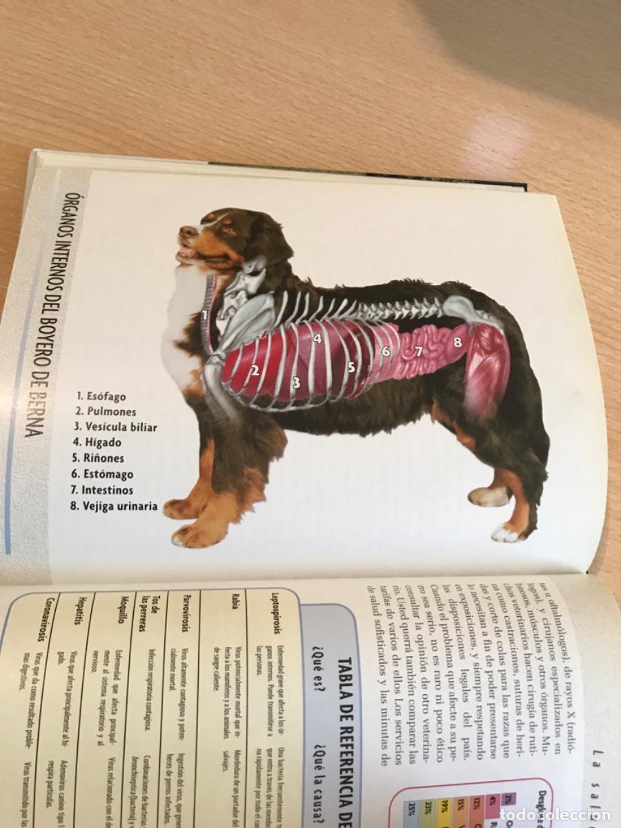 Libros de segunda mano: LIBRO. Boyero de Berna. Louis Harper. 2007. Razas de hoy. Perros. - Foto 6