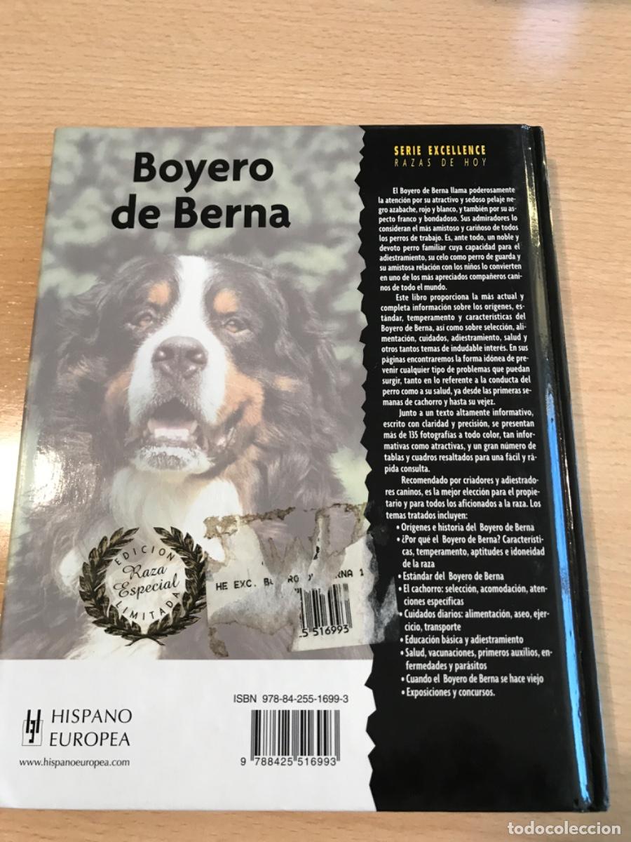 Libros de segunda mano: LIBRO. Boyero de Berna. Louis Harper. 2007. Razas de hoy. Perros. - Foto 12