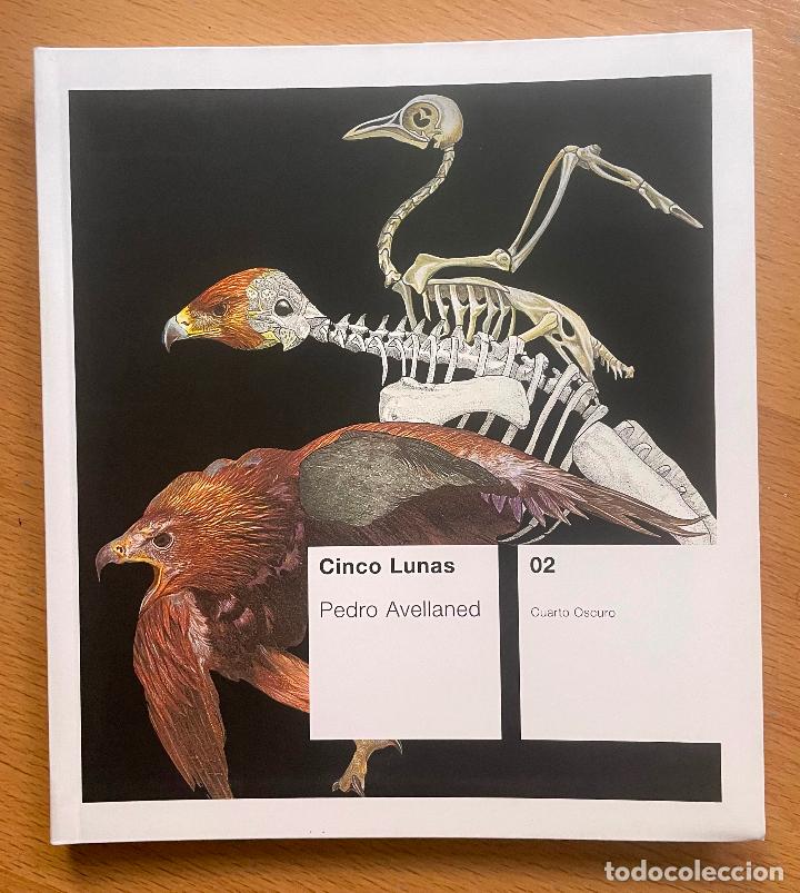 Libros de segunda mano: CINCO LUNAS, Pedro Avellaned, - Foto 1