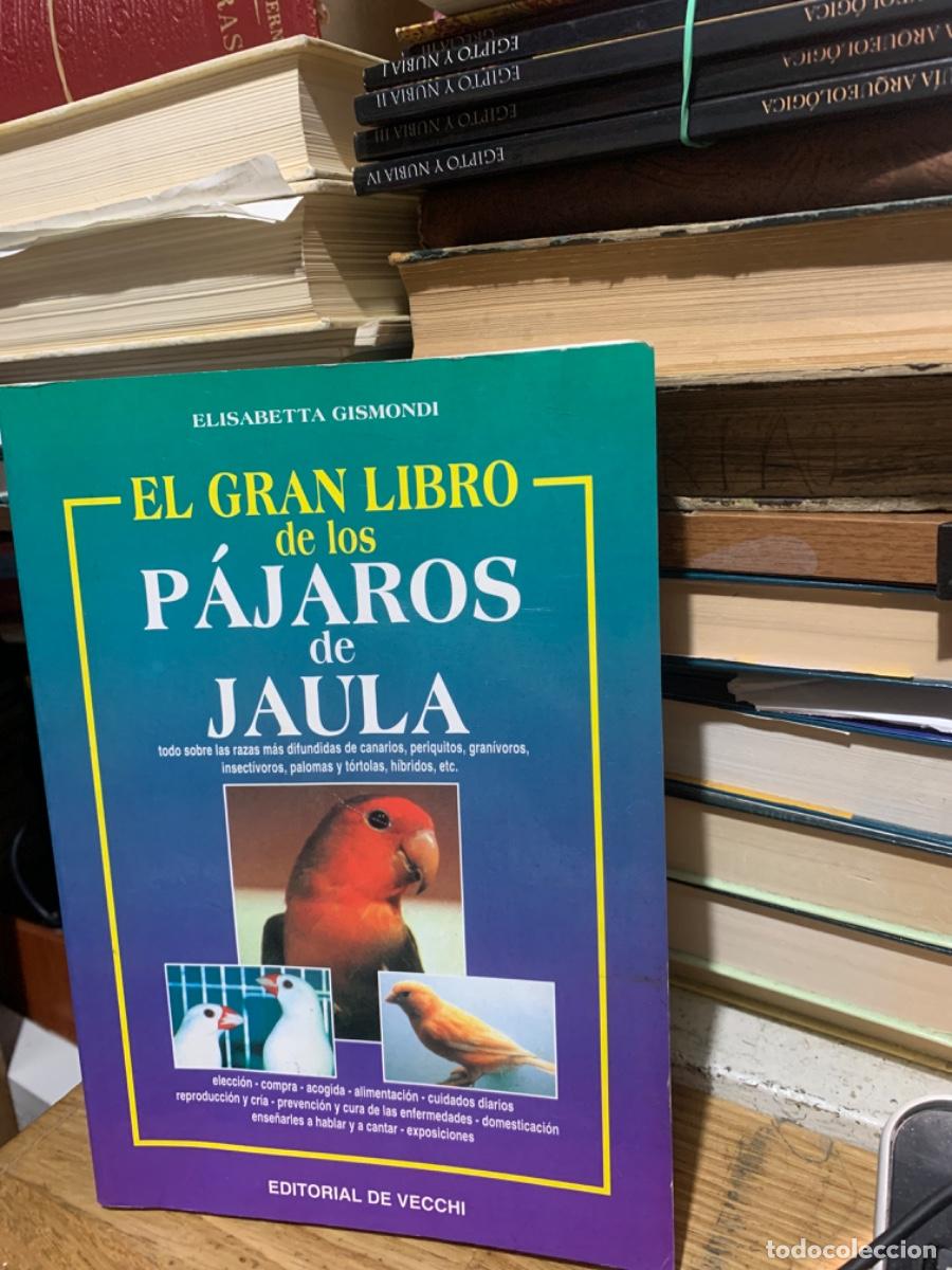Libros de segunda mano: EL GRAN LIBRO DE LOS P&Aacute;JAROS DE JAULA, ELISABETTA GISMONDI, ED VECCHI - Foto 1